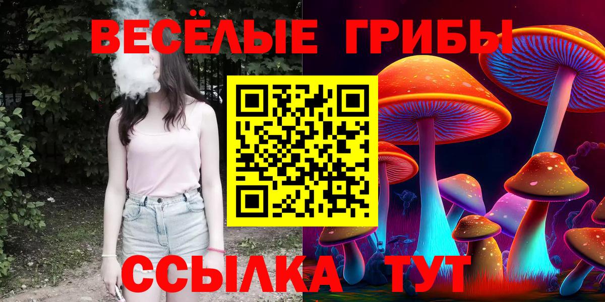Псилоцибиновые грибы мухоморы  Галлюциногенные грибы Psilocybine cubensis  Сорочинск  закладки  Вход с VPN 